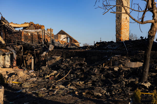 Reliable Fire Damage Repair contractor in Lithia, FL by Fire Damage Doption